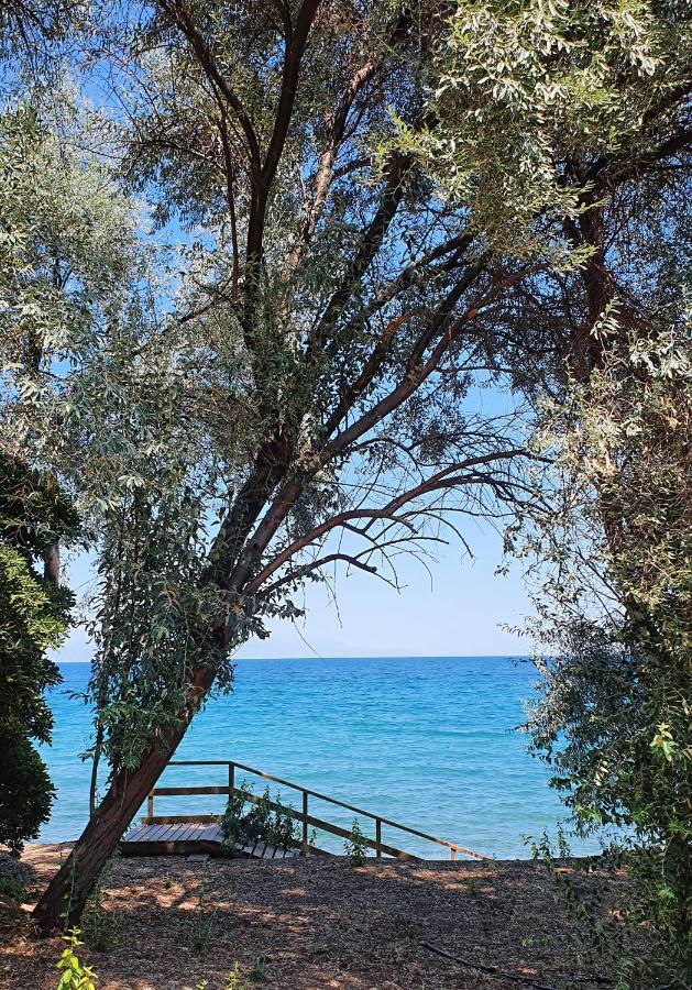 Villa Al-Ari Diakopto Exteriér fotografie